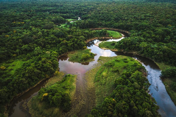Drone Footage hutan Amazon