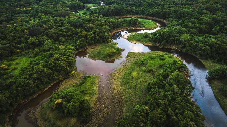 Drone Footage hutan Amazon