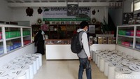 Didirikan Tan Soe How, toko herbal ini diteruskan generasi kedua Tan Seng Gap. Lalu diteruskan oleh generasi ketiga yang merupakan anak Tan Seng Gap, Tan Soen Ek dan Tan Koen Nio. Saat ini toko herbal itu diteruskan oleh Iwan Setiadi yang merupakan generasi keempat.