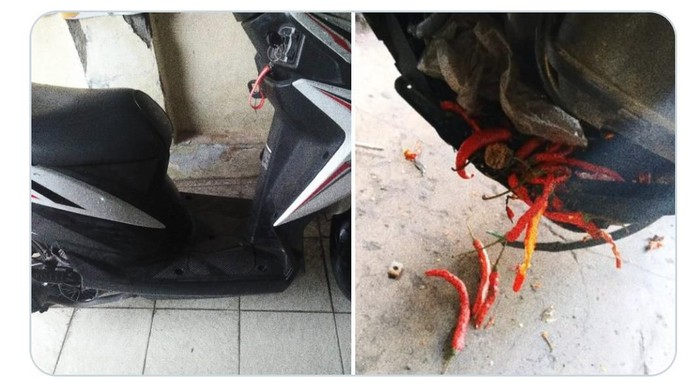 motor mogok karena cabai