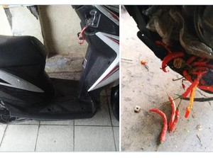Motor Mogok Gara-gara Tikus Kumpulkan Cabai di Celah Mesin, Kok Bisa?