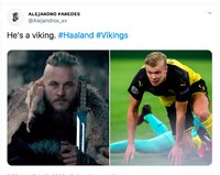 Meme Erling