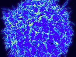 Foto Mikroskopis Bermacam Virus dan Bakteri