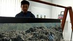 Melihat Penanggulangan Sampah dalam Bingkai Fotografi