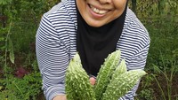 Karena senang berkebun, Dida bahkan memanen pare sendiri. Usai memetik pare, Dida berpose dulu di depan kebun dengan senyum gembira.  Foto: instagram @dida_sinclair