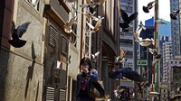 Hingga hari ini, Rabu (19/2/2020) jumlah korban tewas akibat virus corona telah melebihi 2.000 ribu orang secara global. AP Photo/Vincent Yu.