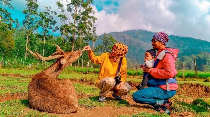 Kampung Cai Ranca Upas, Wisata Ramah Anak di Ciwidey