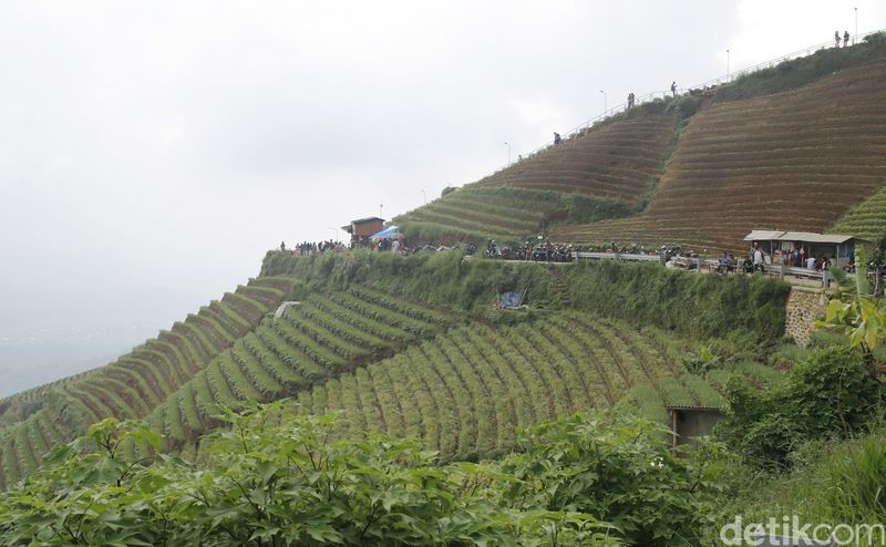 Wisata Terasering Panyaweuyan, Kecamatan Argapura, Kabupaten Majalengka, Jawa Barat.