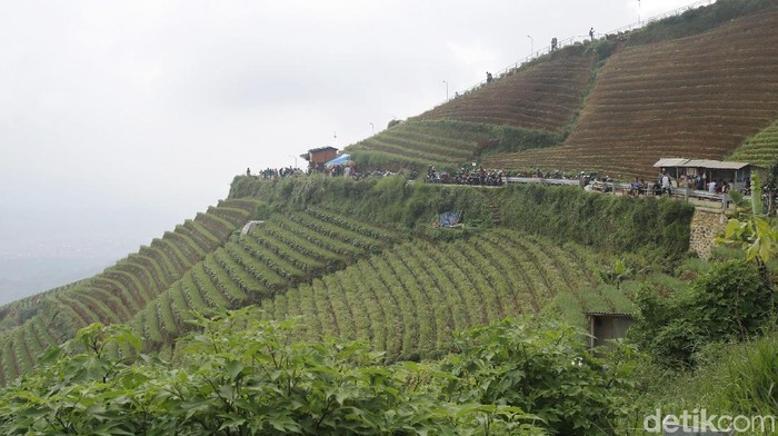 Wisata Terasering Panyaweuyan, Kecamatan Argapura, Kabupaten Majalengka, Jawa Barat.