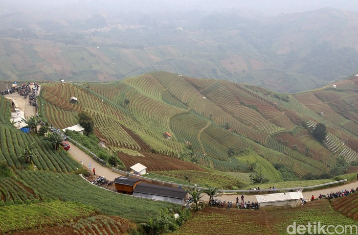 Lembah Panyaweuyan di Majalengka Wisata Terasering Panyaweuyan, Kecamatan Argapura, Kabupaten Majalengka, Jawa Barat.