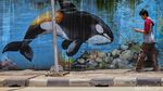 Warna-warni Mural Bertema Hewan Laut Hiasi Jalan Jembatan Tiga