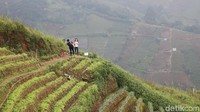 Di bagian puncak Lembah Panyaweuyan, Traveler bisa menikmati pemandangan terasering lebih asyik. Beberapa anak muda terlihat sibuk mengabadikan momen di puncak.