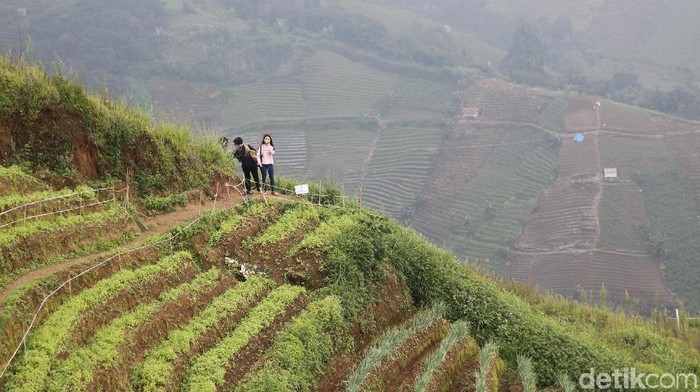 Wisata Terasering Panyaweuyan, Kecamatan Argapura, Kabupaten Majalengka, Jawa Barat.
