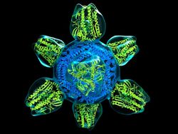 Foto Mikroskopis Bermacam Virus dan Bakteri