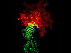 Foto Mikroskopis Bermacam Virus dan Bakteri