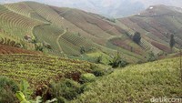 Lembah Panyaweuyan berada di Kabupaten Majalengka, tepatnya di Kecamatan Argapura. Dari Jakarta, menggunakan kendaraan roda 4 dan melalui tol layang Japek, tempat wisata ini bisa ditempuh dalam waktu sekitar 3-4 jam saja.