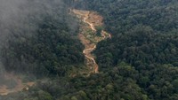 Foto udara area bekas tambang emas ilegal di kawasan hutan lindung Ulu Masen antara Kabupaten Pidie dan Kabupaten Aceh Barat, Aceh, Selasa (18/2/2020).