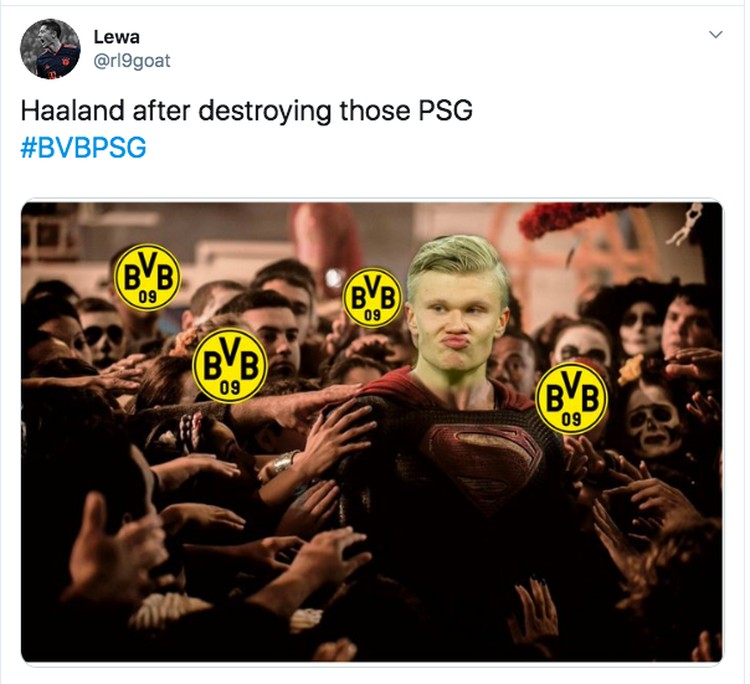 Meme Erling Meme Erling
