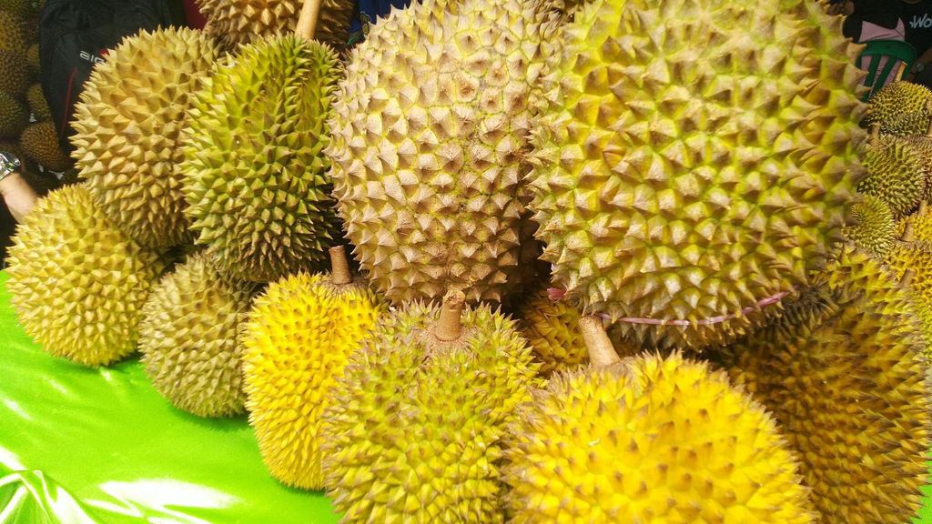 festival durian