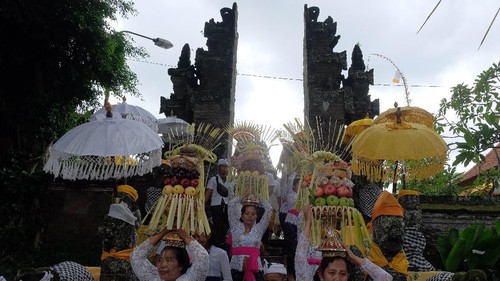 Sejumlah perempuan Bali mengusung Gebogan atau sesajen berisi buah, kue, bunga dan hiasan janur dalam tradisi Mapeed yaitu rangkaian persembahyangan Hari Raya Galungan di Desa Lukluk, Badung, Bali, Rabu (19/2/2020). Tradisi parade sesajen tersebut dilakukan menjelang persembahyangan bersama di Pura Dalem dalam merayakan hari kemenangan Dharma (kebenaran) melawan Adharma (kejahatan). ANTARA FOTO/Nyoman Hendra Wibowo/nym/wsj.