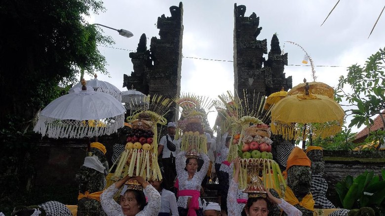 Sejumlah perempuan Bali mengusung Gebogan atau sesajen berisi buah, kue, bunga dan hiasan janur dalam tradisi Mapeed yaitu rangkaian persembahyangan Hari Raya Galungan di Desa Lukluk, Badung, Bali, Rabu (19/2/2020). Tradisi parade sesajen tersebut dilakukan menjelang persembahyangan bersama di Pura Dalem dalam merayakan hari kemenangan 