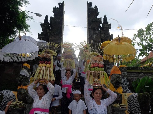 Sejumlah perempuan Bali mengusung Gebogan atau sesajen berisi buah, kue, bunga dan hiasan janur dalam tradisi Mapeed yaitu rangkaian persembahyangan Hari Raya Galungan di Desa Lukluk, Badung, Bali, Rabu (19/2/2020). Tradisi parade sesajen tersebut dilakukan menjelang persembahyangan bersama di Pura Dalem dalam merayakan hari kemenangan 