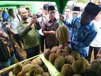 Festival Durian Kalijaya Hadirkan Durian Bernama Unik yang Manis Legit