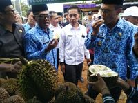 Festival Durian Kalijaya Hadirkan Durian Bernama Unik yang Manis Legit