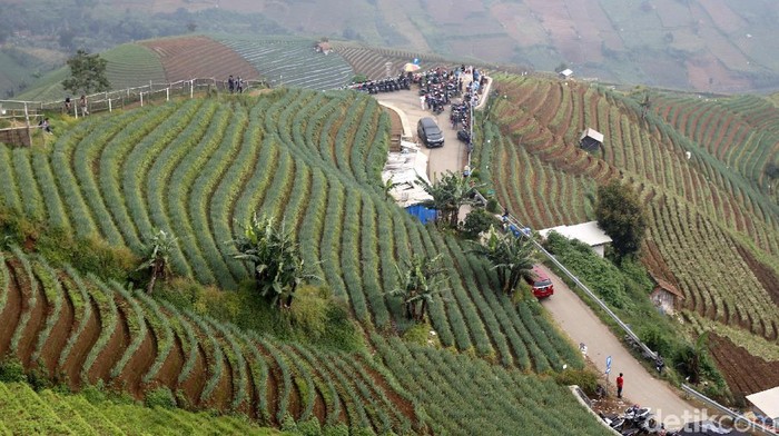 Wisata Terasering Panyaweuyan, Kecamatan Argapura, Kabupaten Majalengka, Jawa Barat.