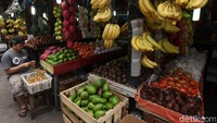 Keputusan Kemendag untuk menghentikan sementara impor dari China untuk mengantisipasi penyebaran virus corona termasuk produk buah-buahan menjadi peluang bagi aneka buah-buahan asli Indonesia untuk berkembang.