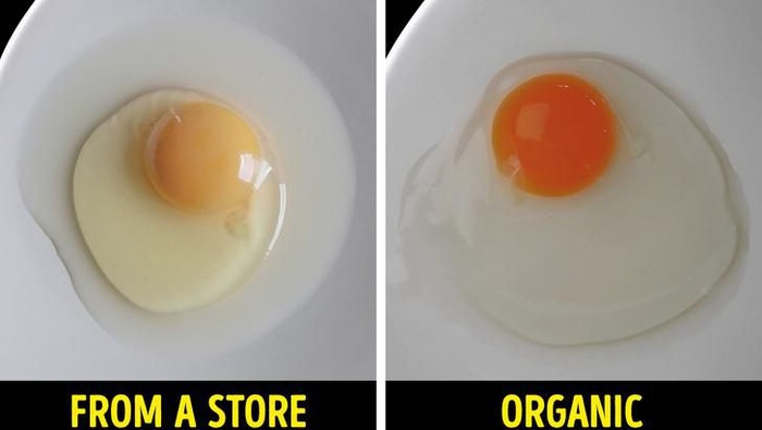 Cara cek kualitas makanan Cara cek kualitas makanan