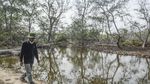 Kasihan, Habitat Lutung Jawa di Bekasi Makin Sempit