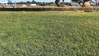 Waduh, ketarik nih! Foto: Instagram @umtiago via Bored Panda