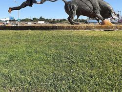 Kumpulan Ide Ilusi Optik Keren Tanpa Editan