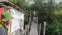 Situasi di kawasan konservasi lutung Jawa di Muaragembong. (ANTARA FOTO/Fakhri Hermansyah)
