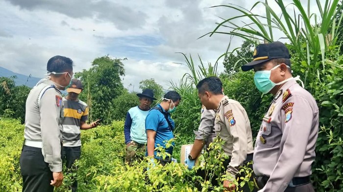 Faisol Amir (37) meregang nyawa setelah ditembak Tubi (74) dengan senapan angin di bagian lehernya. Faisol diduga mencuri cabai milik pelaku.
