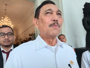Semangati UMKM Agar Sukses, Luhut: Saya Anak Sopir Bisa Begini!
