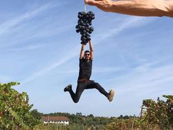 Kumpulan Ide Ilusi Optik Keren Tanpa Editan