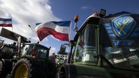 Pemerintah Belanda dilaporkan memutuskan untuk memangkas hasil produksi ternak dan turunannya, seperti susu sapi, untuk menekan emisi. Namun, hal itu akan berdampak buruk terhadap para petani yang menggantungkan hidup dari beternak.