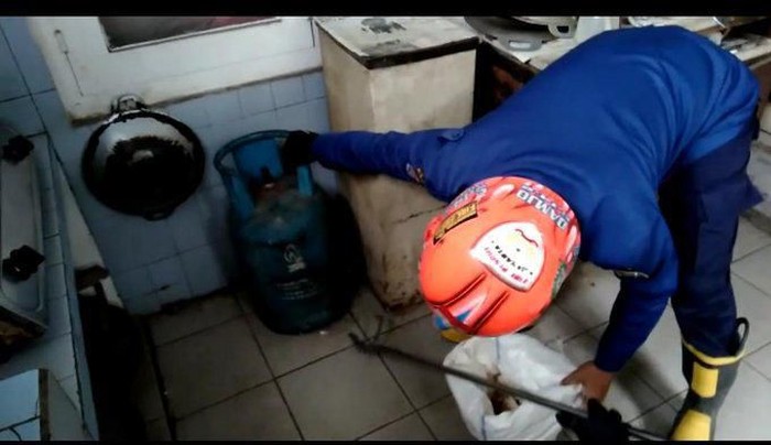 Evakuasi kobra di rumah di Polonia, Jakarta Timur. (Dok Twitter Pemadam DKI Jakarta)