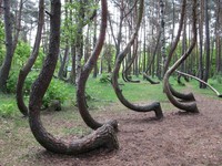10 Tempat yang Tak Kalah Misterius dari Segitiga Bermuda