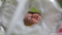 Seorang bayi berjenis kelamin perempuan lahir di RSUD Pasar Minggu, Jakarta, Kamis (20/2/2020).