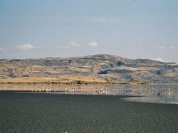 10 Tempat yang Tak Kalah Aneh dari Segitiga Bermuda