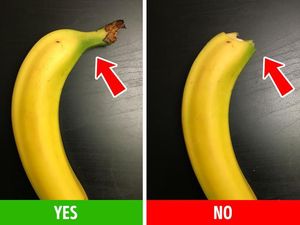 Cara Mudah Cek Kualitas Makanan, Telur hingga Pisang
