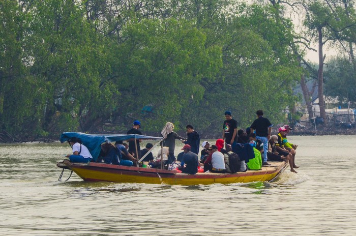 NASIB KAWASAN KONSERVASI LUTUNG JAWA DI MUARAGEMBONG Seekor lutung jawa menggendong anaknya yang bulunya masih berwarna kuning keemasan di lokasi konservasi di kawasan Mangrove Muaragembong, Kabupaten Bekasi, Jawa Barat.