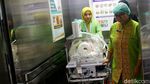 Suka Cita Menyambut Kelahiran Bayi Mungil di Tanggal Cantik
