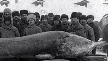 Gambar yang berasal dari tahun 1924 ini memperlihatkan seperti inilah keberhasilan memancing di Uni Soviet zaman itu. Uni Soviet saat ini sudah tidak ada. Negara ini dibubarkan pada 26 Desember 1991. Foto: Pinterest via Gent Side