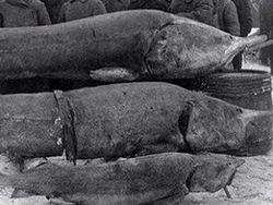 Foto Bersejarah yang Belum Pernah Kamu Lihat Pas Zaman Sekolah