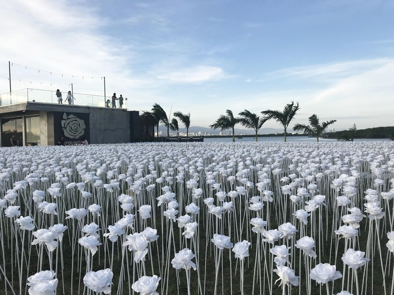 10000 roses cafe filipina cebu
