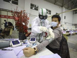 Ini 4 Cluster WNI Terdampak Corona di Dalam dan Luar Negeri